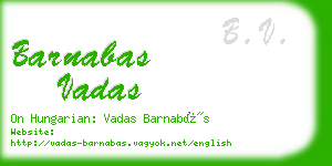 barnabas vadas business card